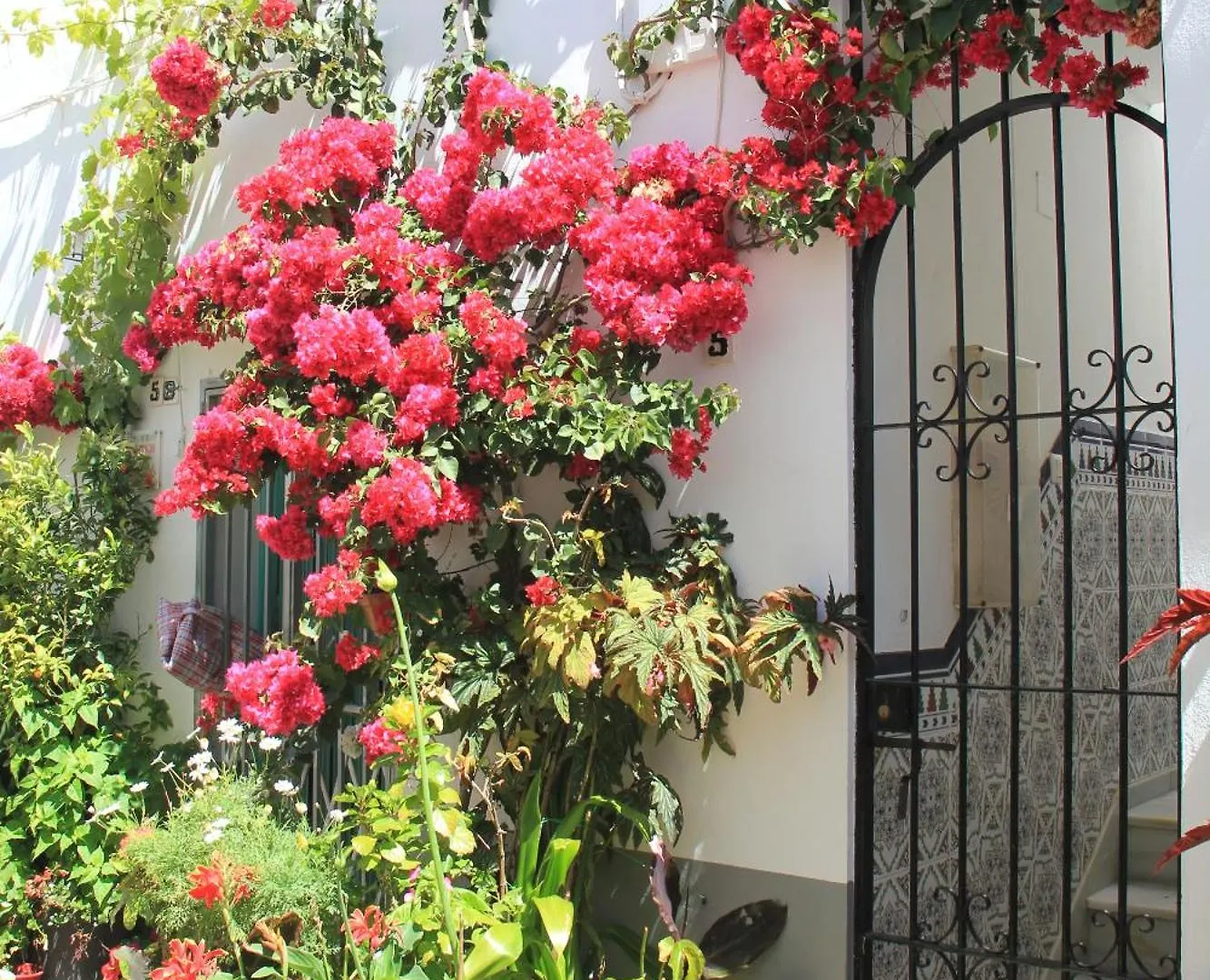 Holiday home Casa Magallanes Conil Villa Conil De La Frontera Spain